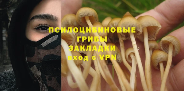 ALPHA-PVP Алексин