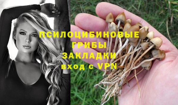 гашик Алзамай