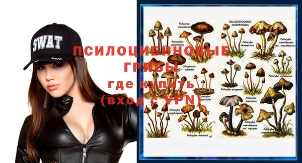 гашик Алзамай