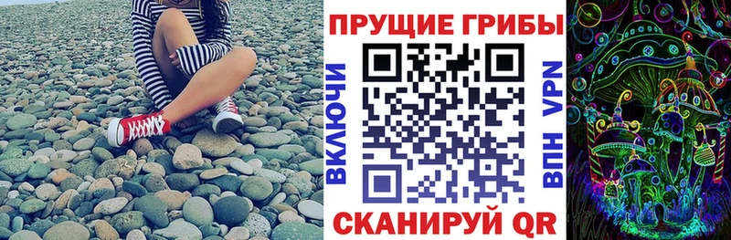 Галлюциногенные грибы мицелий  где продают наркотики  площадка какой сайт  Слободской 