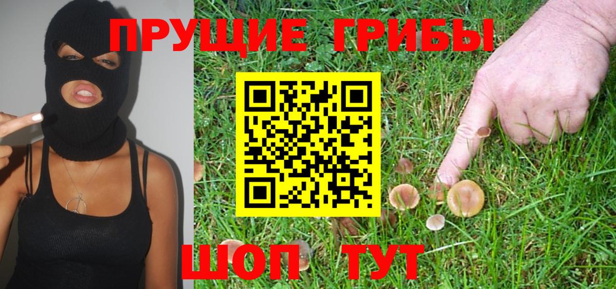 Слободской  Псилоцибиновые грибы Psilocybine cubensis  Вход с VPN 